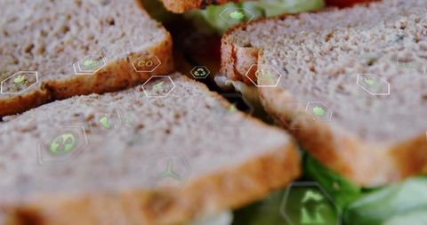 Whole wheat sandwich with eco icons and sustainability themes