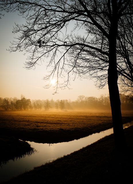 Captivating scene of a tranquil sunrise over a misty meadow, with bare trees silhouetted against the soft light. Reflective stream adds a calming effect, making it perfect for nature-themed backdrops, advertisements focusing on tranquility and calmness, websites, or prints that invoke a serene and peaceful atmosphere.