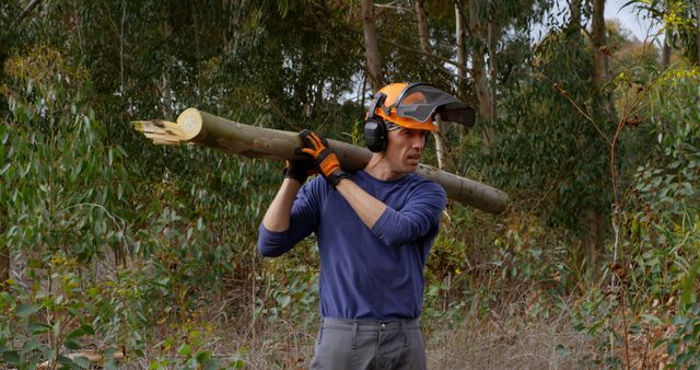 Man carrying log on shoulder while working in the forest. Highlighting durable protective gear and safety measures for lumber activities. Ideal for use in topics about sustainable forestry, manual labor safety, woodcutting techniques, and outdoor work ethics.