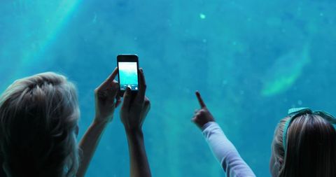 Family enjoying aquatic exhibition through smartphone photography