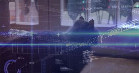 Dark-furred cat perching on sofa back amid futuristic hud overlays, neon data and graphs