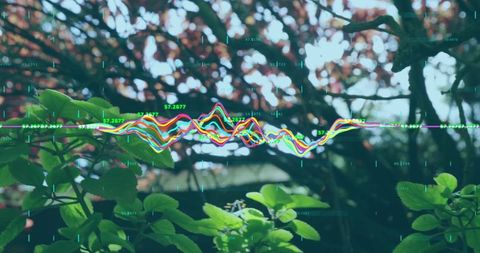 Colorful Waveform Data Visualization in Lush Forest