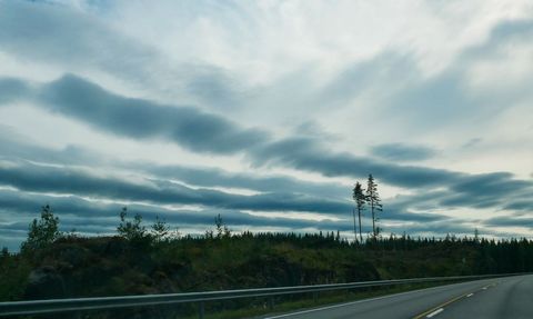 Scenic highway road with cloudy sky and line of trees