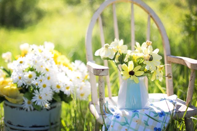 View of flowers on a white chair in the garden. Spring season concept