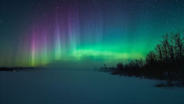 Aurora borealis streaming green and purple across starry arctic sky over snowy plain