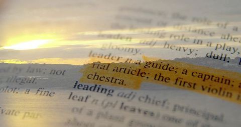 Highlighted 'leader' dictionary entry with warm sunrise light, paper grain double exposure