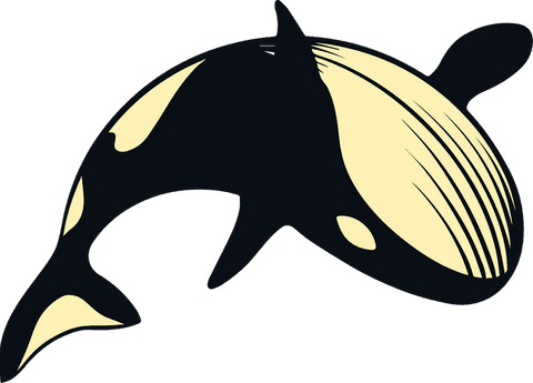 Transparent Vector Art of Swimming Orca Whale with Defined Dorsal Fin