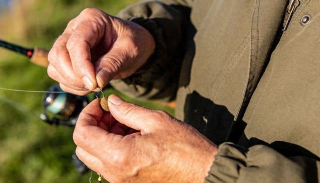 Senior angler preparing bait on hook close-up hands threading boilie on fishing rig