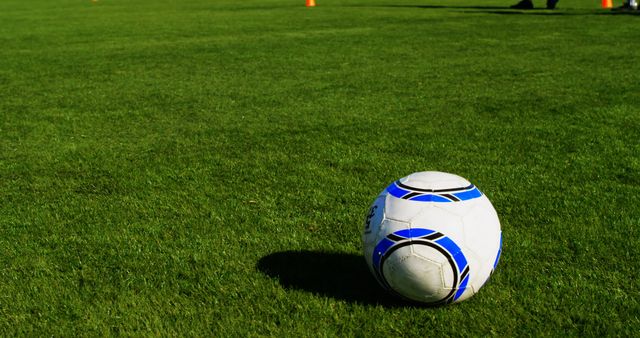 Soccer Ball on Green Field with Training Cones - Download Free Stock Images Pikwizard.com