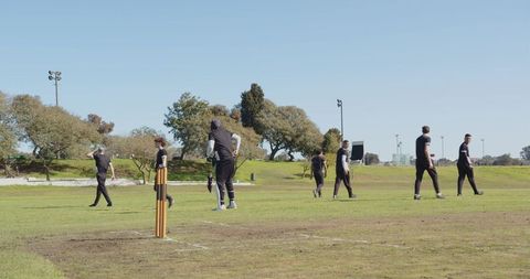Cricket Team Celebrating Victory on Field under Clear Blue Sky