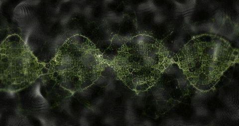 Neon green fractal lattice in digital matrix