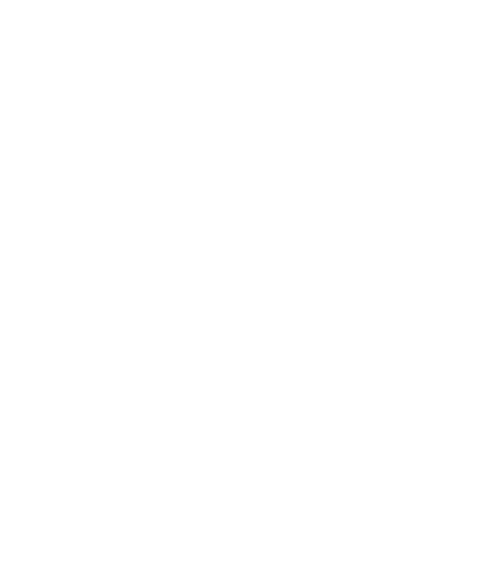 Transparent Silhouettes of Men Engaged in Weightlifting Activity - Download Free Stock Videos Pikwizard.com