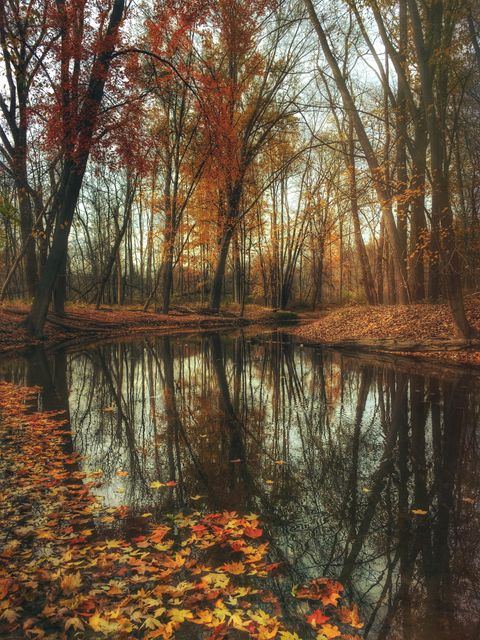This captivating autumn scene, featuring a calm river reflecting colorful fall foliage, is ideal for seasonal promotional materials, nature and travel blogs, calendar prints, and relaxation concepts. Its serene atmosphere also makes it suitable for backgrounds and artistic prints.