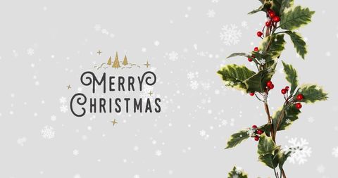 Merry Christmas with Festive Holly and Falking Snow