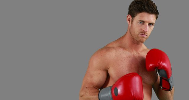 Muscular Boxer Training with Red Boxing Gloves - Download Free Stock Images Pikwizard.com