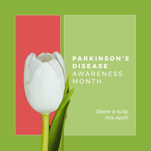 Composition of parkinson's awareness month and white tulip on green background - Download Free Stock Videos Pikwizard.com