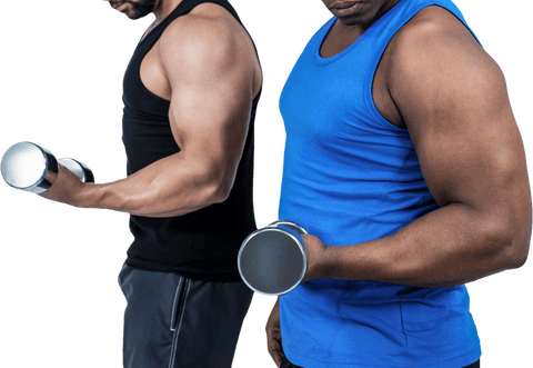 Muscular friends exercising with dumbbells isolated transparent