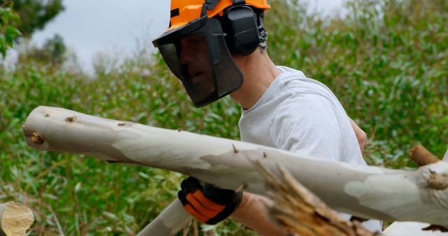 Lumberjack Wearing Protective Gear Cutting Trees in Forest - Download Free Stock Images Pikwizard.com