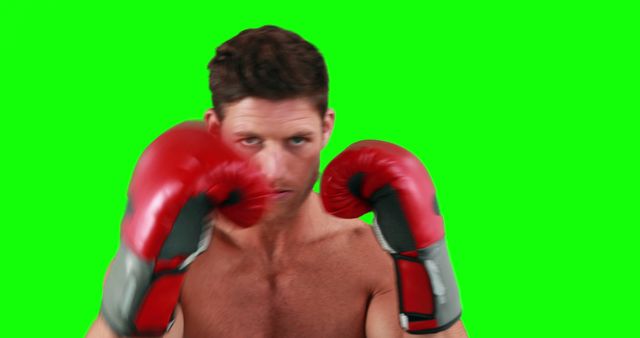 This vibrant image captures a boxer wearing red gloves in a strong fighting stance. Set against a green screen background, this dynamic visual is excellent for sports promotions, fitness advertisements, training videos, and health and wellness content. Easily chroma-keyable, it can be integrated into various multimedia projects. Perfect for illustrating themes related to strength, athleticism, and dedication.