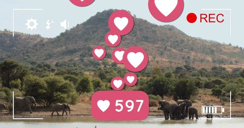 Elephants by Watering Hole with Social Media Icons Overlay - Download Free Stock Images Pikwizard.com