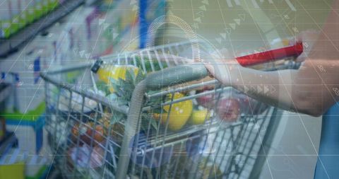 Digital Interface Shopping with Financial Data Overlay