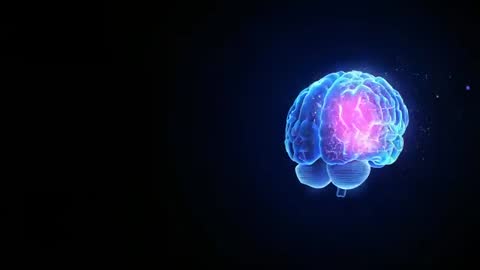 Rotating 3D Brain Model with Glowing Highlights in Dark Background