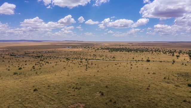 Aerial savanna panorama with winding waterholes, dry grassland and dramatic cloudscape