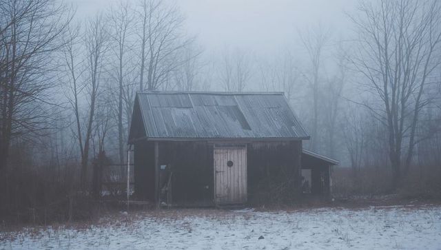 Fog-drenched shed with weathered wood siding, rusted corrugated roof and porthole door