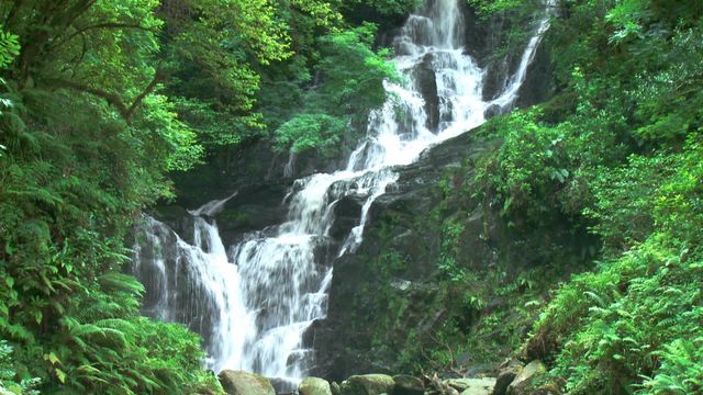 Lush forest waterfall with fresh green foliage and rocks in natural daylight. Capturing the beauty of unspoiled nature, this can be used for promoting eco-tourism, nature conservation, hiking and outdoor activities or as a serene background for a calming environment.