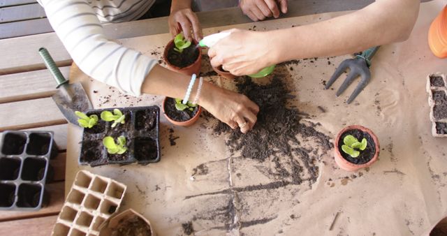 People are planting seedlings with garden tools on a wooden table. Perfect for themes related to gardening, spring activities, sustainability, teamwork, and community events.