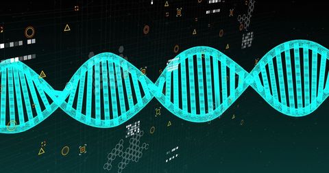 digital representation of dna strand with data elements overlay - Download Free Stock Images Pikwizard.com