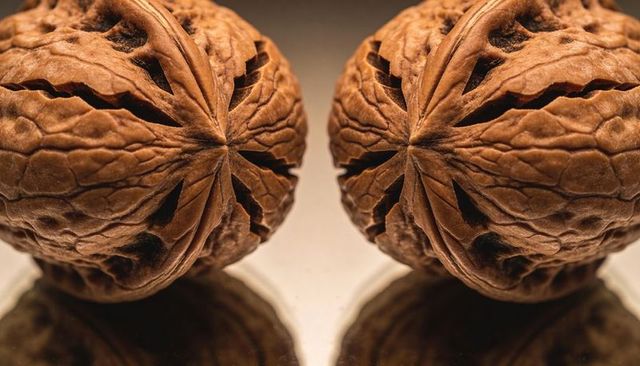 Macro close-up of twin walnut shells reflecting on glossy surface with warm studio light