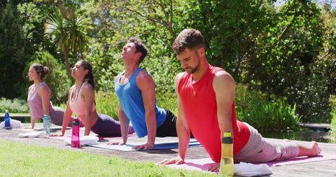 Group Yoga Class Outdoors by Diverse Men and Women in a Sunny Park