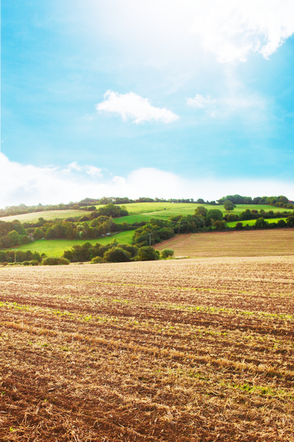 Transparent Field and Pasture under Blue Sky - Download Free Stock Videos Pikwizard.com