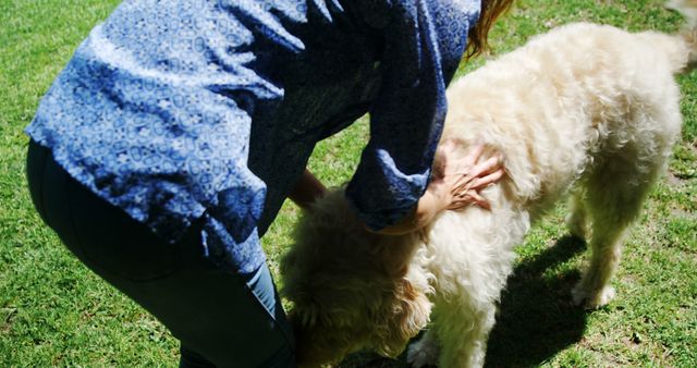 A woman bends down to play and bond with her fluffy dog on a sunny grass lawn. The image can be used for promoting outdoor activities, pet care services, and animal bonding moments. Ideal for pet product advertisements, blog posts about dog care, and social media posts celebrating pet ownership.