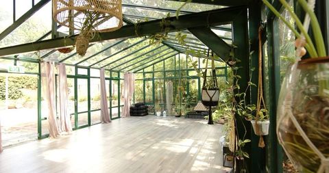 Empty Glasshouse Yoga Studio with Hanging Plants