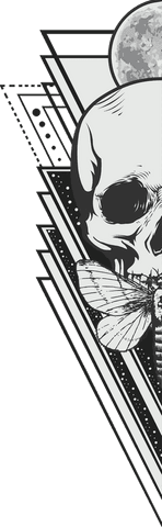 Transparent gothic artwork: half skull, moth, moon design
