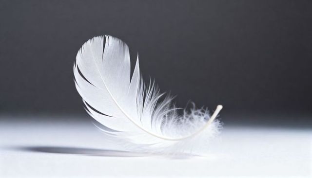 Single white feather resting on smooth surface with soft shadow minimal macro still life