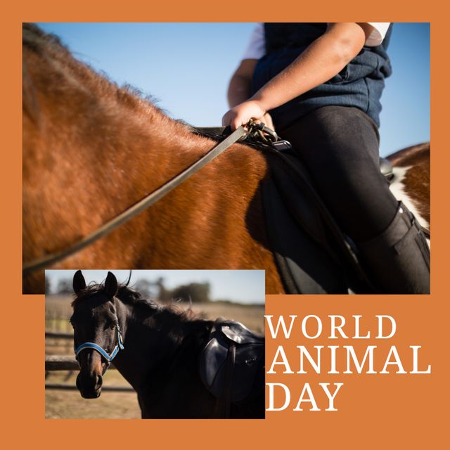 World Animal Day celebration image featuring a young biracial boy riding a horse. Bright orange background complements outdoor scene of boy in riding gear gripping reins, showing bond and emotional connection with animals. Ideal for promoting World Animal Day events, awareness campaigns about animal rights, or to emphasize the importance of equestrian sports and animal companionship.
