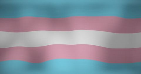 Transgender pride flag waving in wind