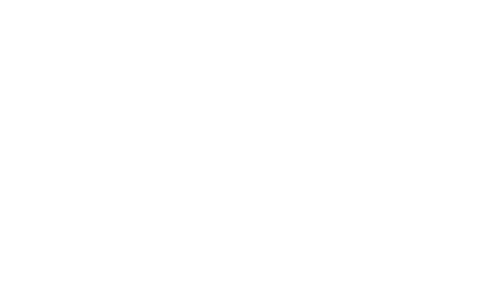 transparent geometric holly decoration outline - Download Free Stock Videos Pikwizard.com
