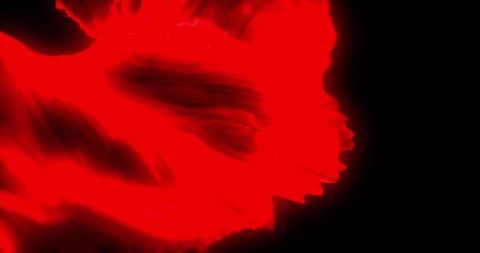 Dynamic Red Abstract Form on Black Background