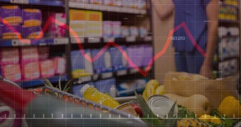Grocery Shopping and Financial Analytics Fusion