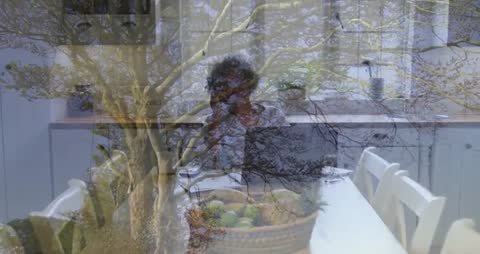 Surreal Blend of Nature and Dining Space with Tree Reflection