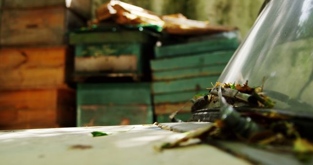 Overgrown Vehicle with Beehives in the Background - Download Free Stock Images Pikwizard.com