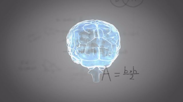 This digital depiction showcases a rotating brain with mathematical formulas, reflecting themes of science and human biology. Ideal for educational content on brain functionality, scientific presentations, or discussions on technology and math. Can enhance materials focused on neuroscience, technological innovations, or cognitive studies.