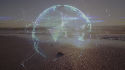 Futuristic Global Network Animation on Serene Beach