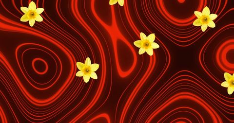 Abstract Yellow Flowers on Red and Black Swirling Background