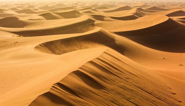 Wind-sculpting dune ridges stretching across vast amber desert horizon in golden light