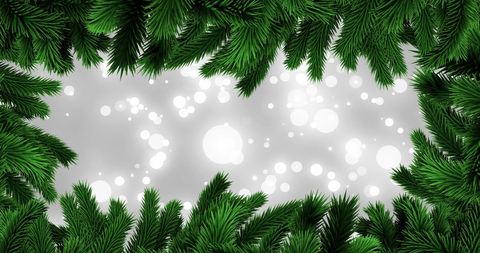 Festive fir tree border with glowing background